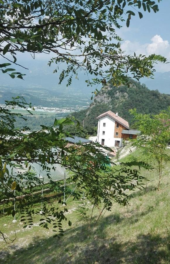 Agriturismo Saetta Lentiai Exterior photo
