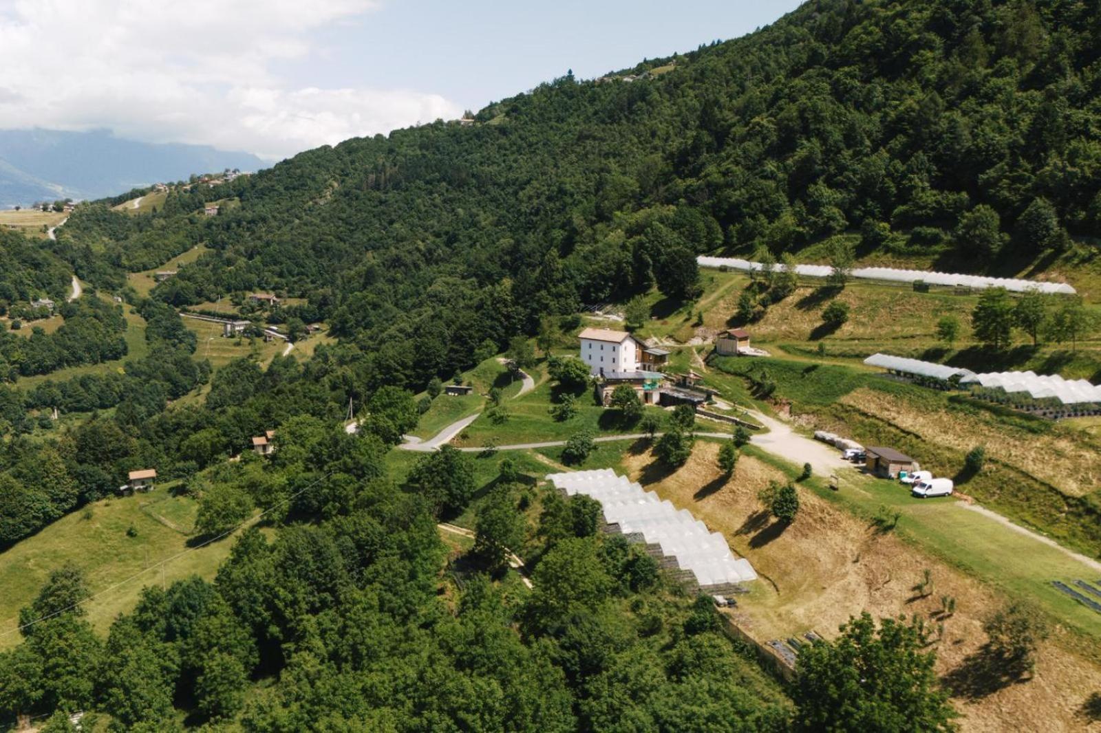 Agriturismo Saetta Lentiai Exterior photo